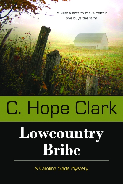 review lowcountry bribe